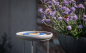 Preview: Insektenstation Granicium®